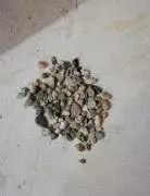 ghiaino per acquario