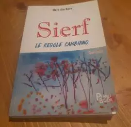 libro_"Sierf- le regole cambiano"