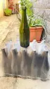 bottiglie per vino