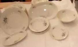 Servizio Piatti