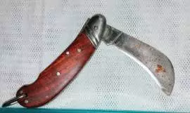 Coltello roncola