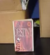 Destiny - sally beauman