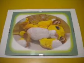 QUADRETTI CON STAMPE DIGITALI X DECORARE LA CAMERE