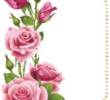 katiab110.r