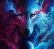 blackwolx0910